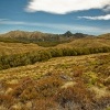 NZ Fiordland 0595